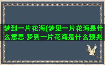 梦到一片花海(梦见一片花海是什么意思 梦到一片花海是什么预兆)